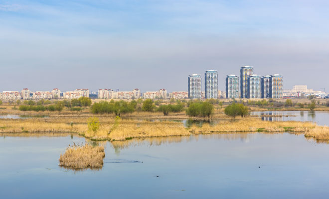 Delta din Bucureşti