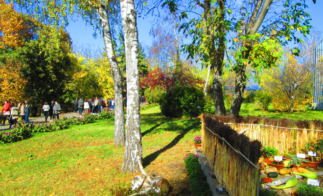 Grădina Botanică din orașul Iași, județul Iași